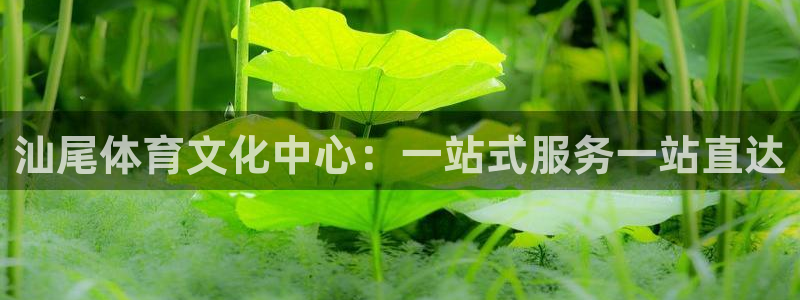 oety欧亿：汕尾体育文化中心：一站式服务一站直达