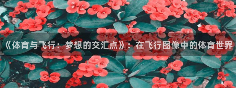 oety欧亿：《体育与飞行：梦想的交汇点》：在飞行图像中的体育世界