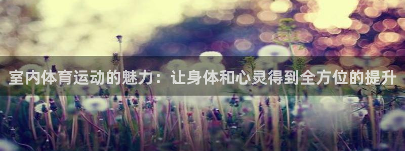 oety欧亿：室内体育运动的魅力：让身体和心灵得到全方位的提升