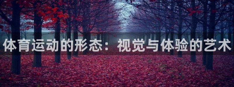 oety欧亿：体育运动的形态：视觉与体验的艺术