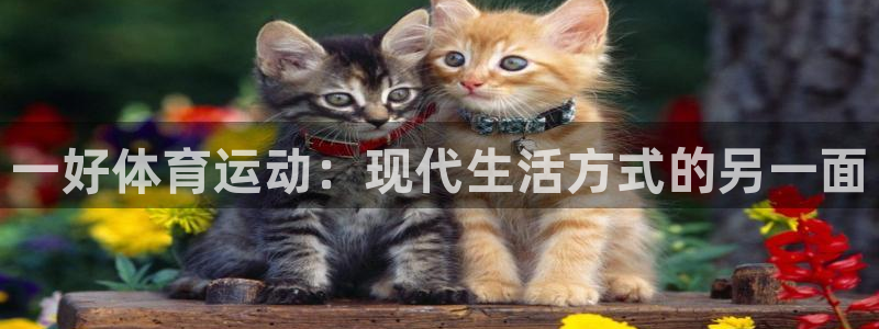 oety欧亿：一好体育运动：现代生活方式的另一面
