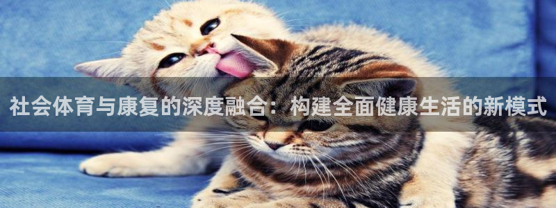 oety欧亿：社会体育与康复的深度融合：构建全面健康生活的新模式