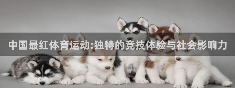 oety欧亿：中国最红体育运动:独特的竞技体验与社会影响力