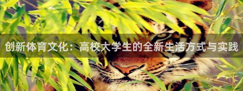 oety欧亿：创新体育文化：高校大学生的全新生活方式与实践