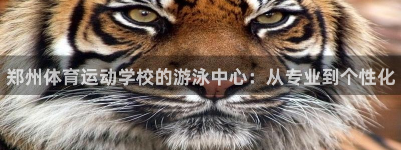 oety欧亿：郑州体育运动学校的游泳中心：从专业到个性化